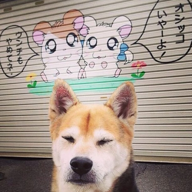 体育新闻中心联合多方共建智慧赛事生态，体育新闻赛事报道标题大全